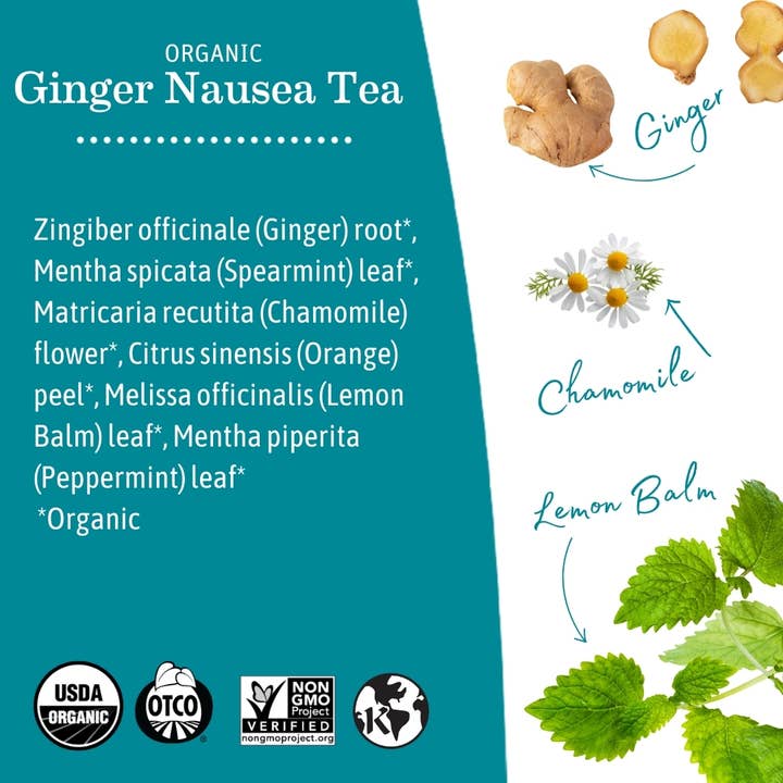 Earth Mama Organics - Wholesale Health/Detox Tea - Organic Ginger Nausea Tea2