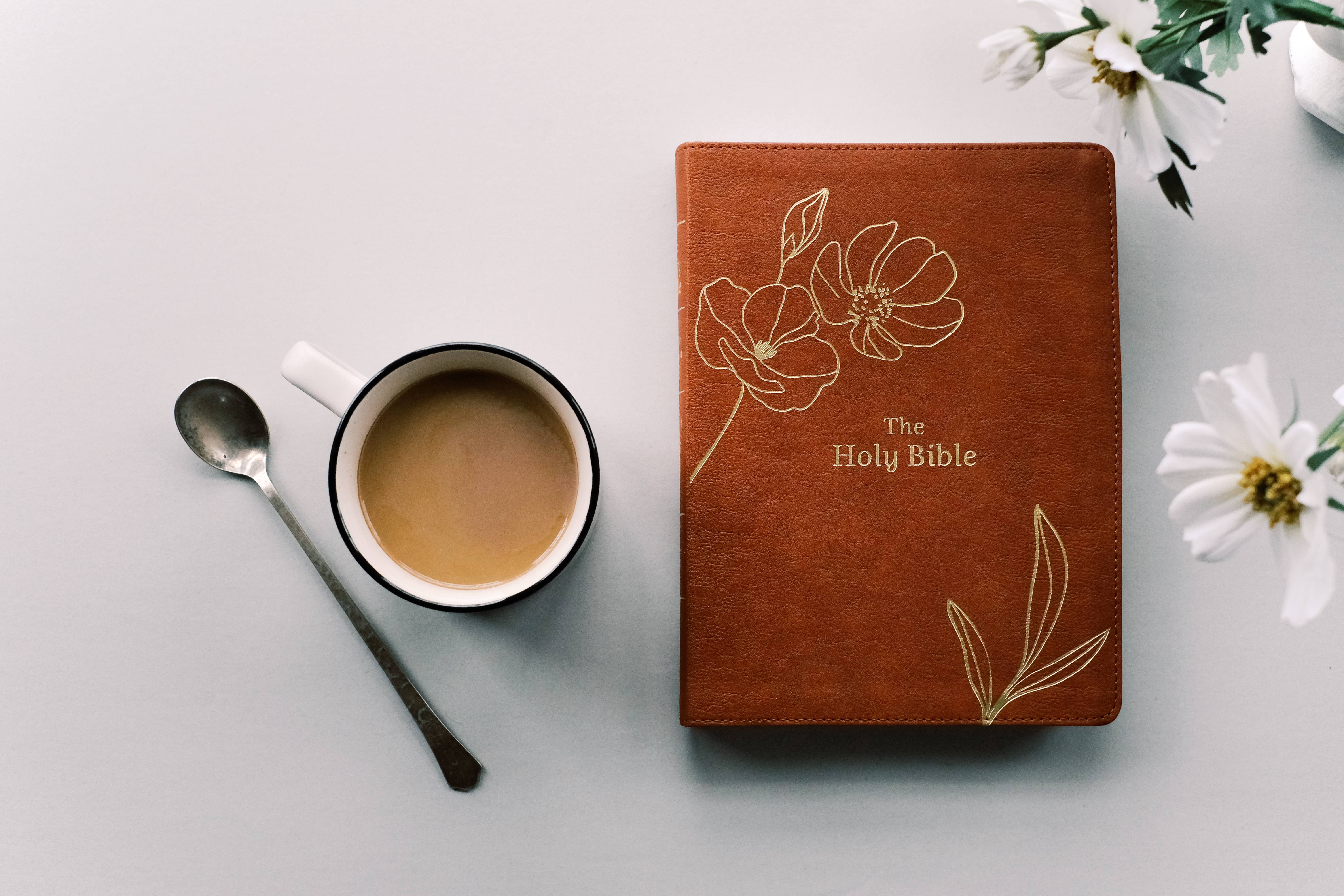 Barbour Publishing, Inc. - Wholesale Religion - The Holy Bible: SKJV [Chestnut Floral]1