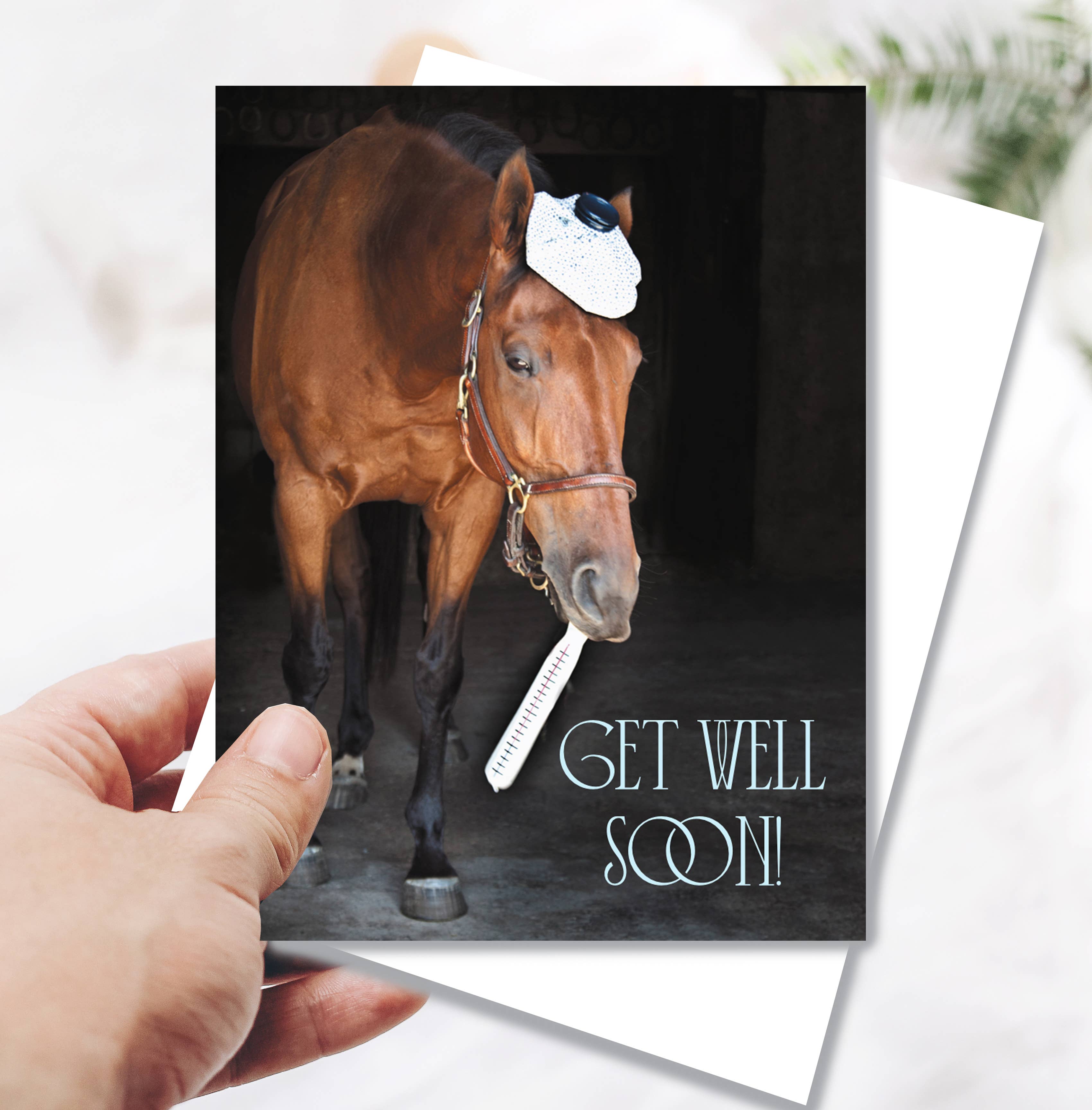 Horse Hollow Press - Wholesale Get Well Card - Horse Get Well Card / Horse & Thermometer / Funny Cute7