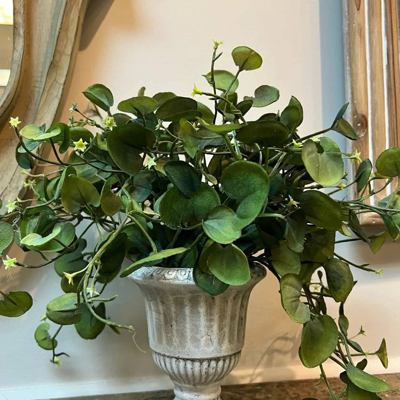 Vagabond Vintage - Wholesale Plant Pot - Cement Pedestal Planter Urn1