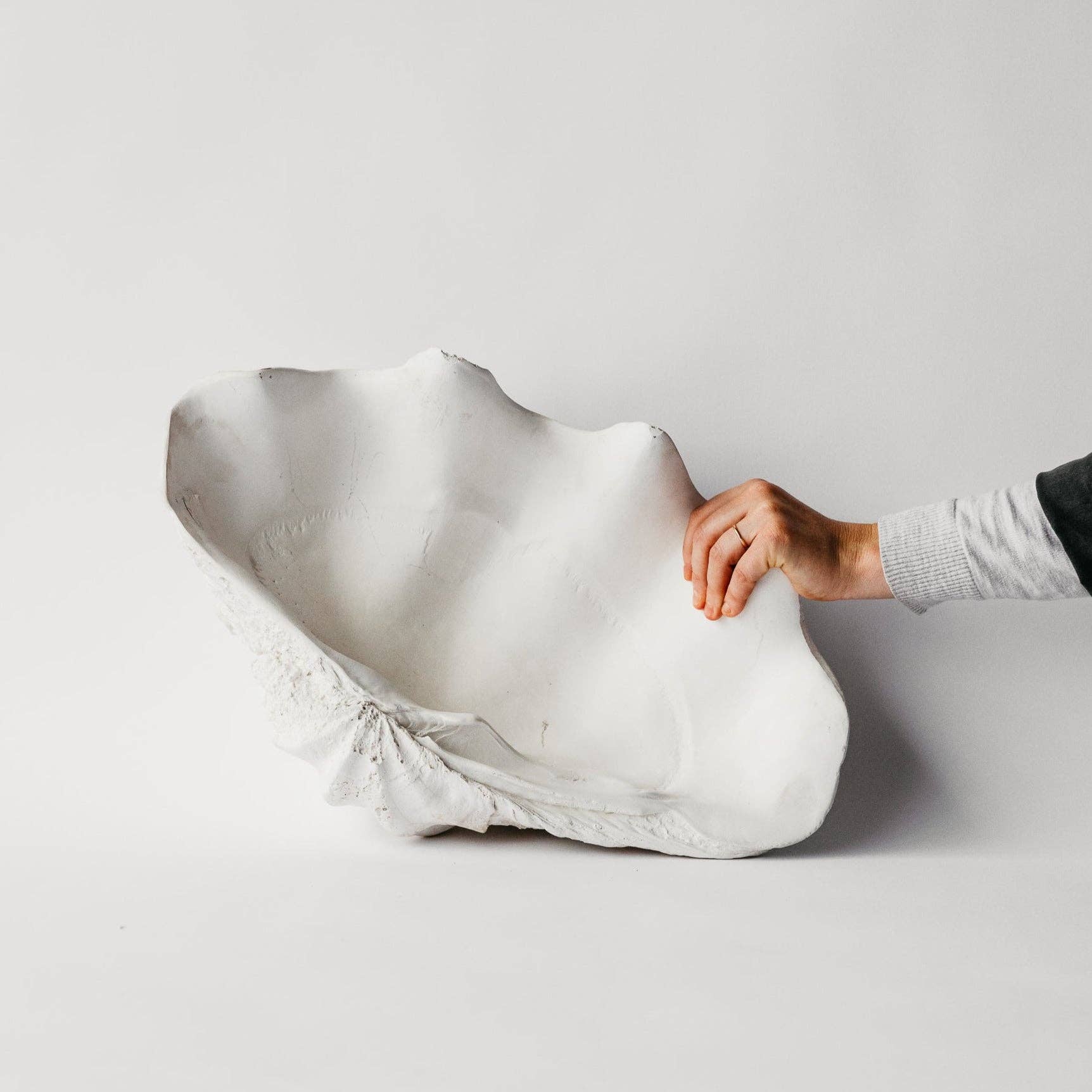 House Parts, Inc. - Wholesale Decorative Tabletop Object - South Pacific Clam Shell6