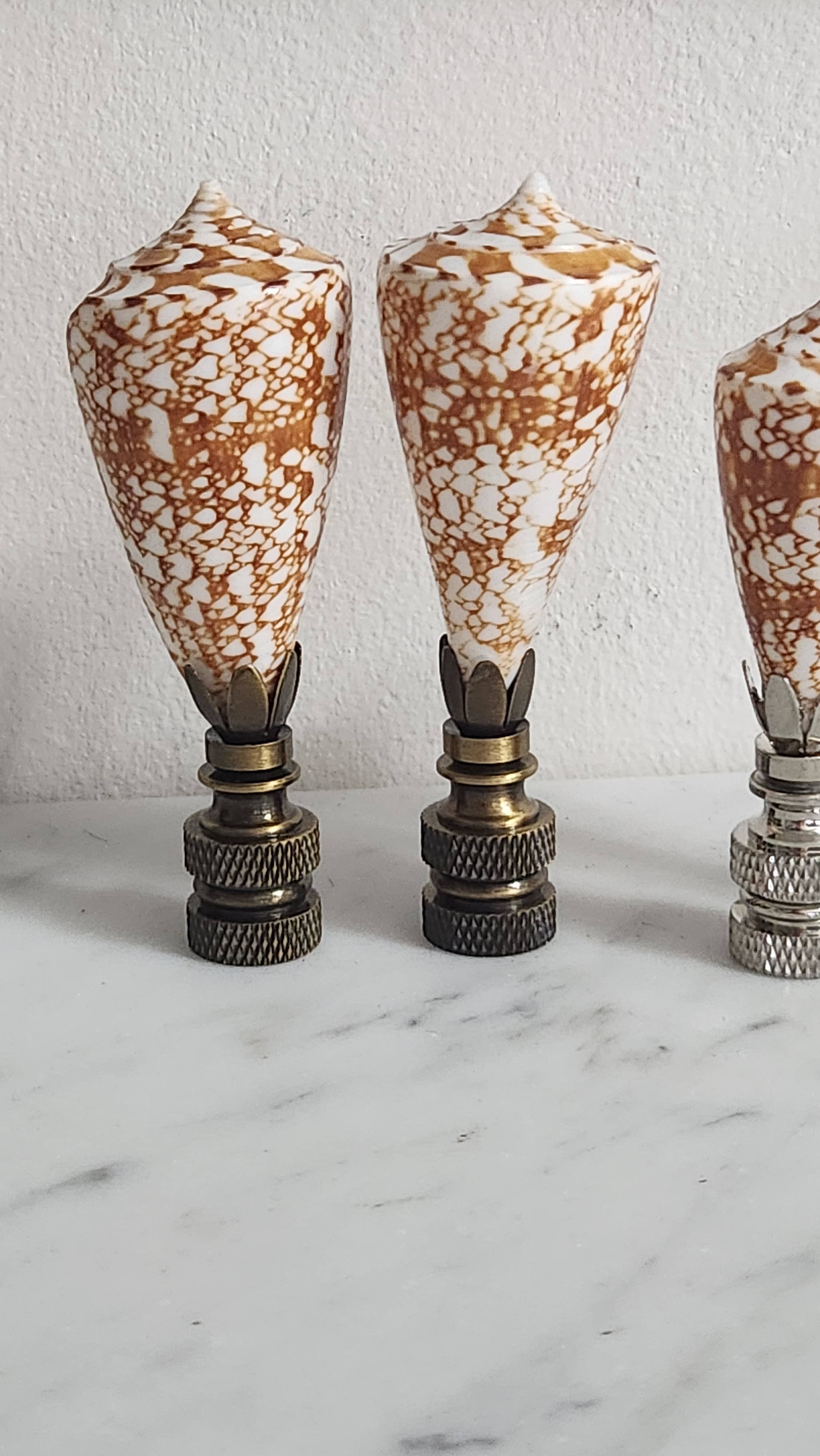 White Tulip Boutique - Wholesale Decorative Tabletop Object - Pair, Brown and White Sea Shell Lamp Finial, Set of 24