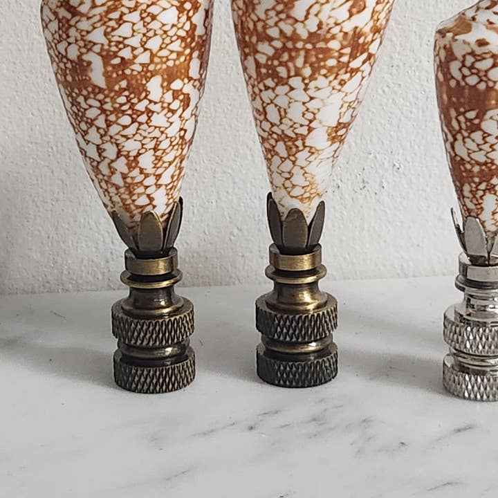 White Tulip Boutique - Wholesale Decorative Tabletop Object - Pair, Brown and White Sea Shell Lamp Finial, Set of 24