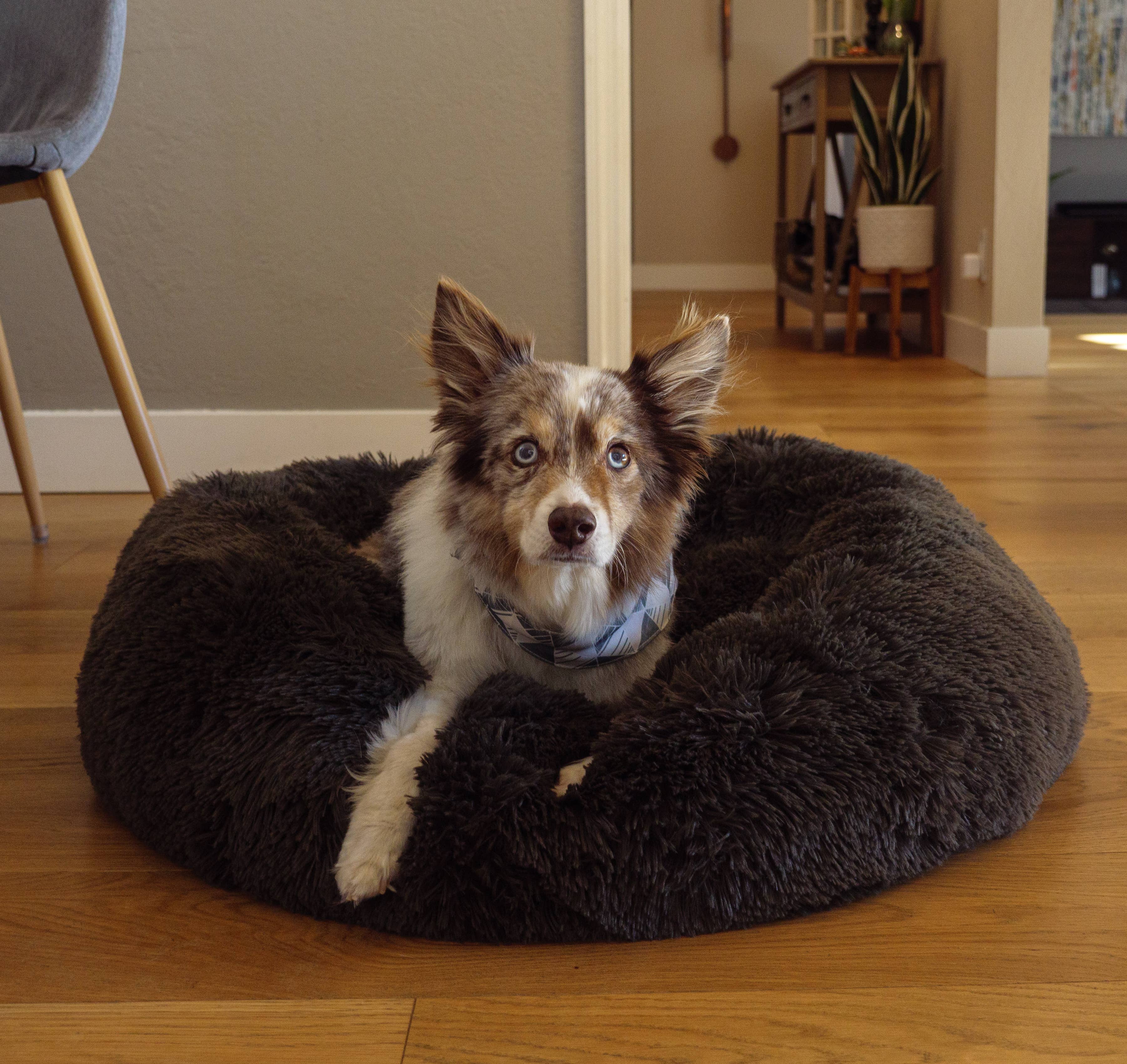 KAF Home - Vente Lit – chat et chien - Lit pour chien et chat KAF Home Calming Donut - Shag Fur5