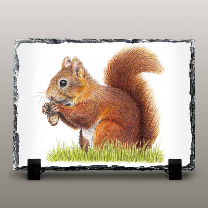 Red Squirrel Medium Slate Picture for wholesale by Emmy Turner Illustration