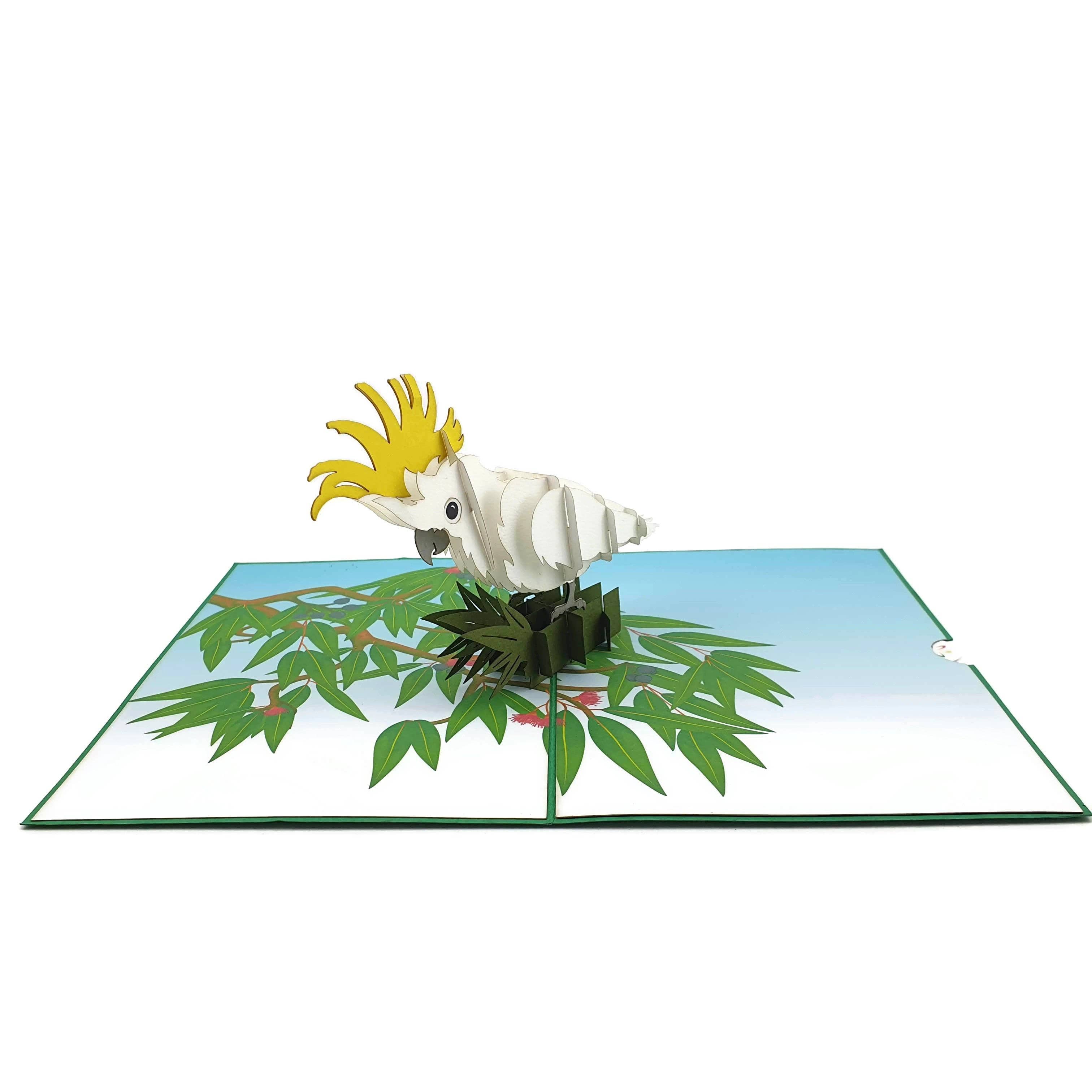 Color Pop Cards – Engroshandel Hverdagshilsen kort – Australske kakadue 3D Pop Up Lykønskningskort4