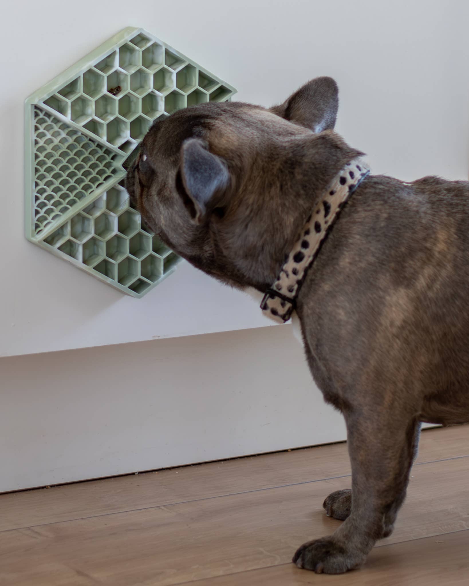 LIEVICK - Wholesale Pet Food Mat - Dog - LIEVICK Lick mat | Lievick Green & White3