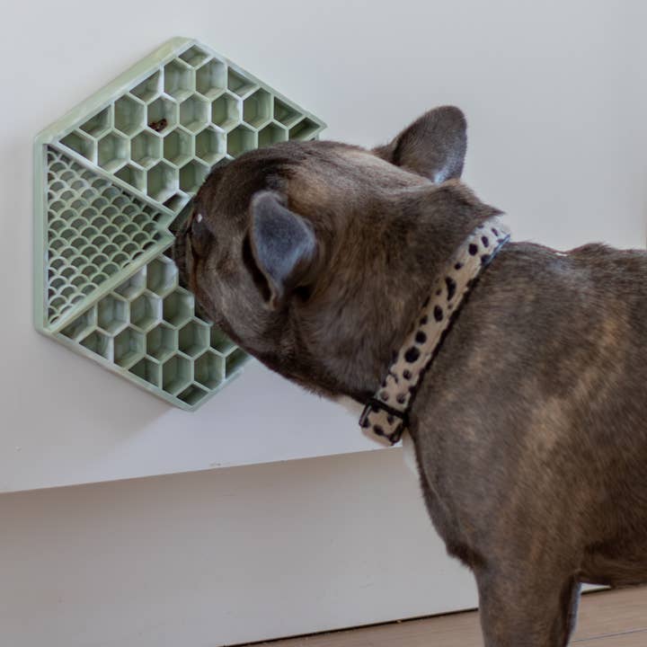 LIEVICK - Wholesale Pet Food Mat - Dog - LIEVICK Lick mat | Lievick Green & White3