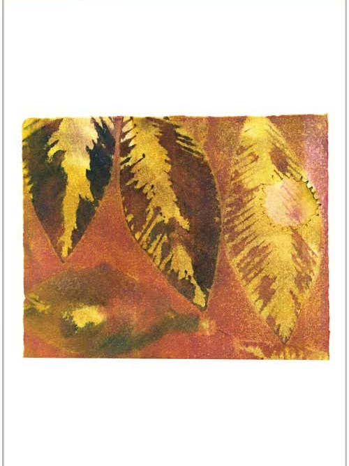 Tre guldblad på rost för wholesale av Finalina