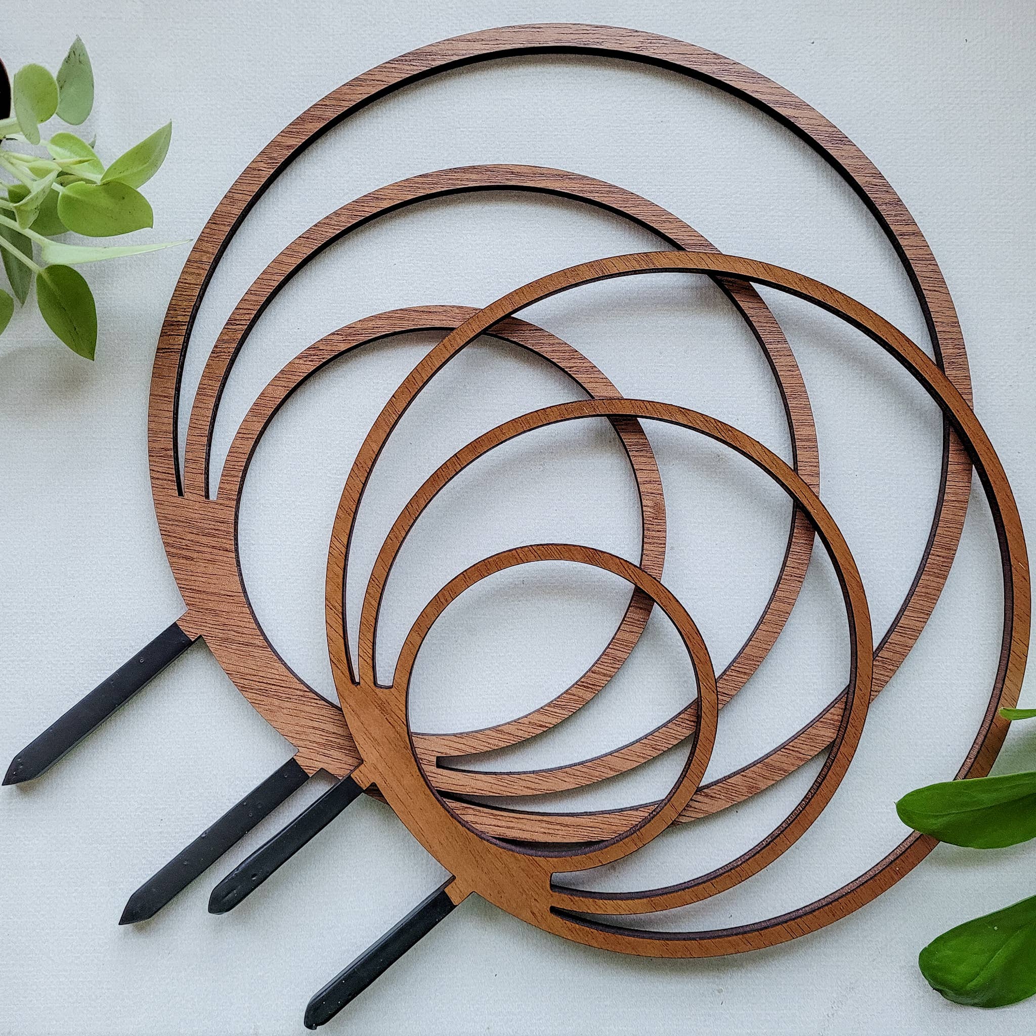 Leaf & Node - Wholesale Trellis - Wood Triple Hoop Indoor Plant Trellis3