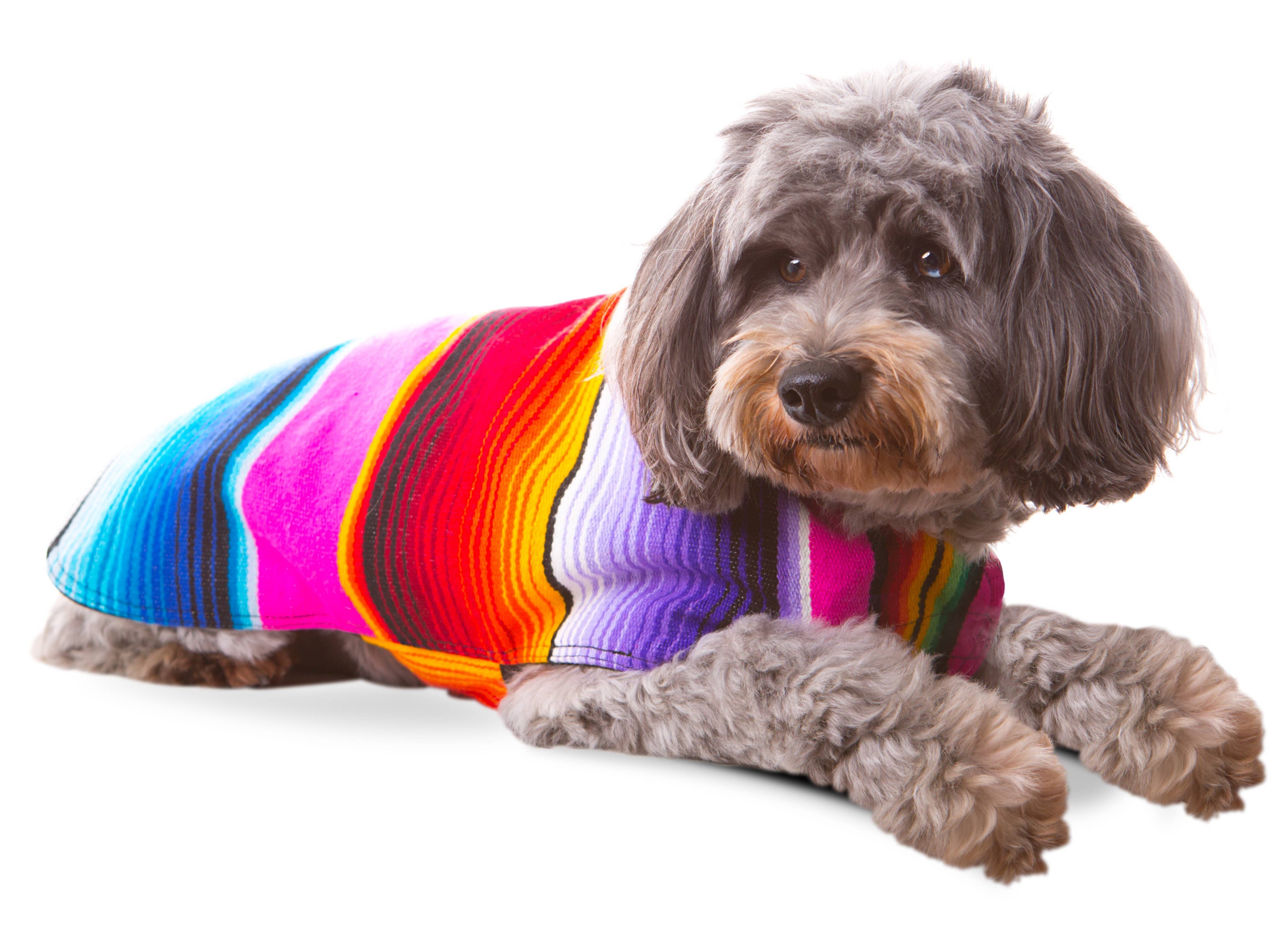 Baja Ponchos - Wholesale Pet Poncho - Dog - Dog Poncho From Mexican Serape Blanket - Pink4