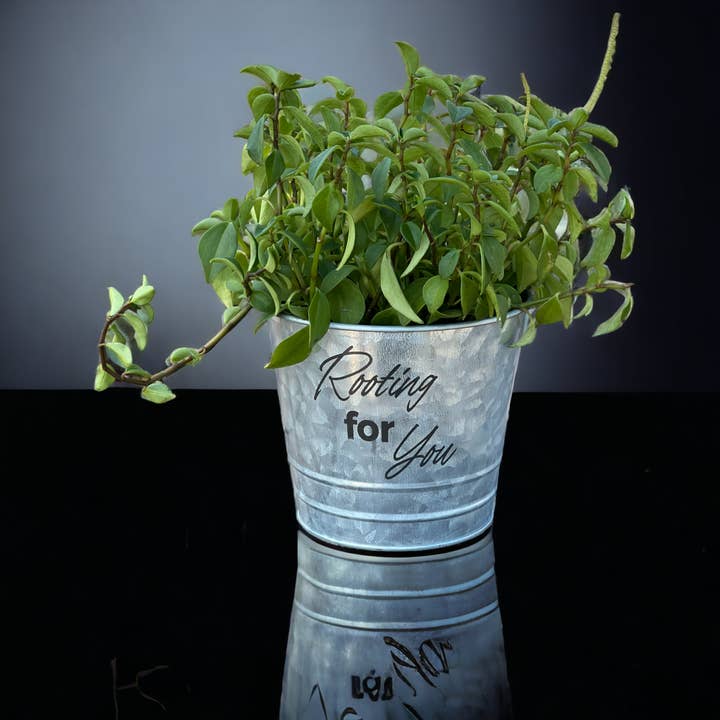 Rooting For You Galvanized Bucket Planter Pot for wholesale by The Savvy Spade