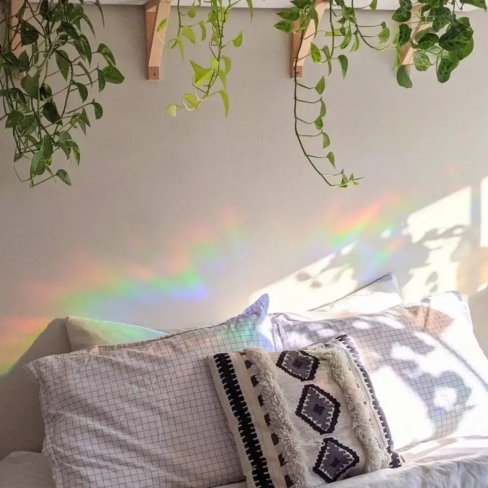 Prismatic Kitty – Großhandel Sonnenfänger – Schneeflocke Mini-Sonnenfänger | Sticker-Set | Feiertagsdekoration10