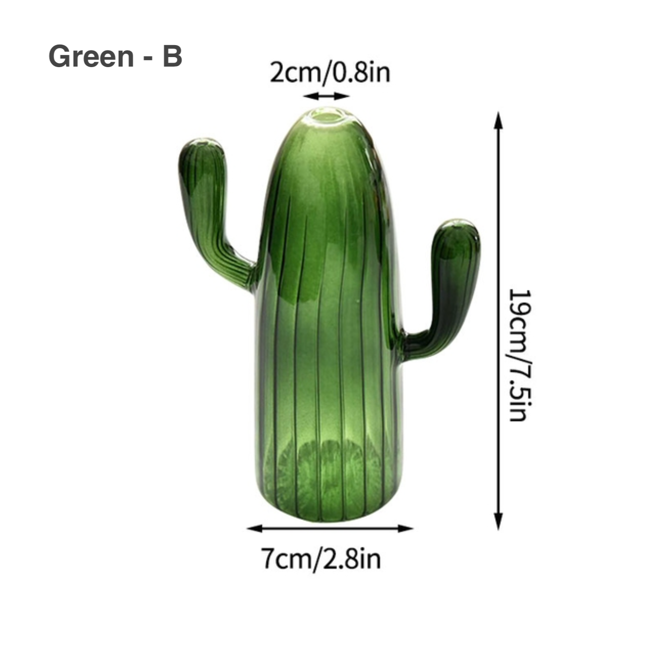 IVORE.GROUP (We cover All Import duty) - Wholesale Vase - Cactus Shaped Glass Hydroponics Plant Vase3