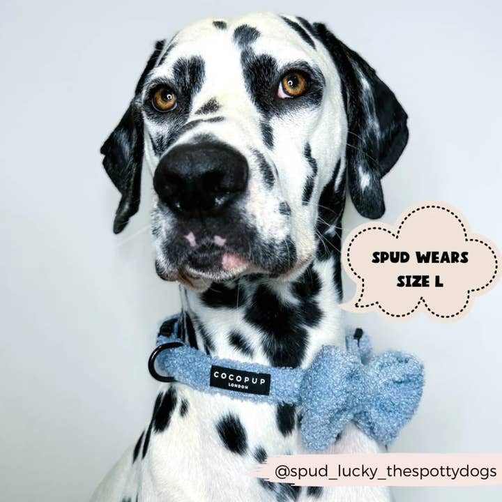 Cocopup London - Wholesale Pet Collar - Dog - Teddy Collar - Daydream