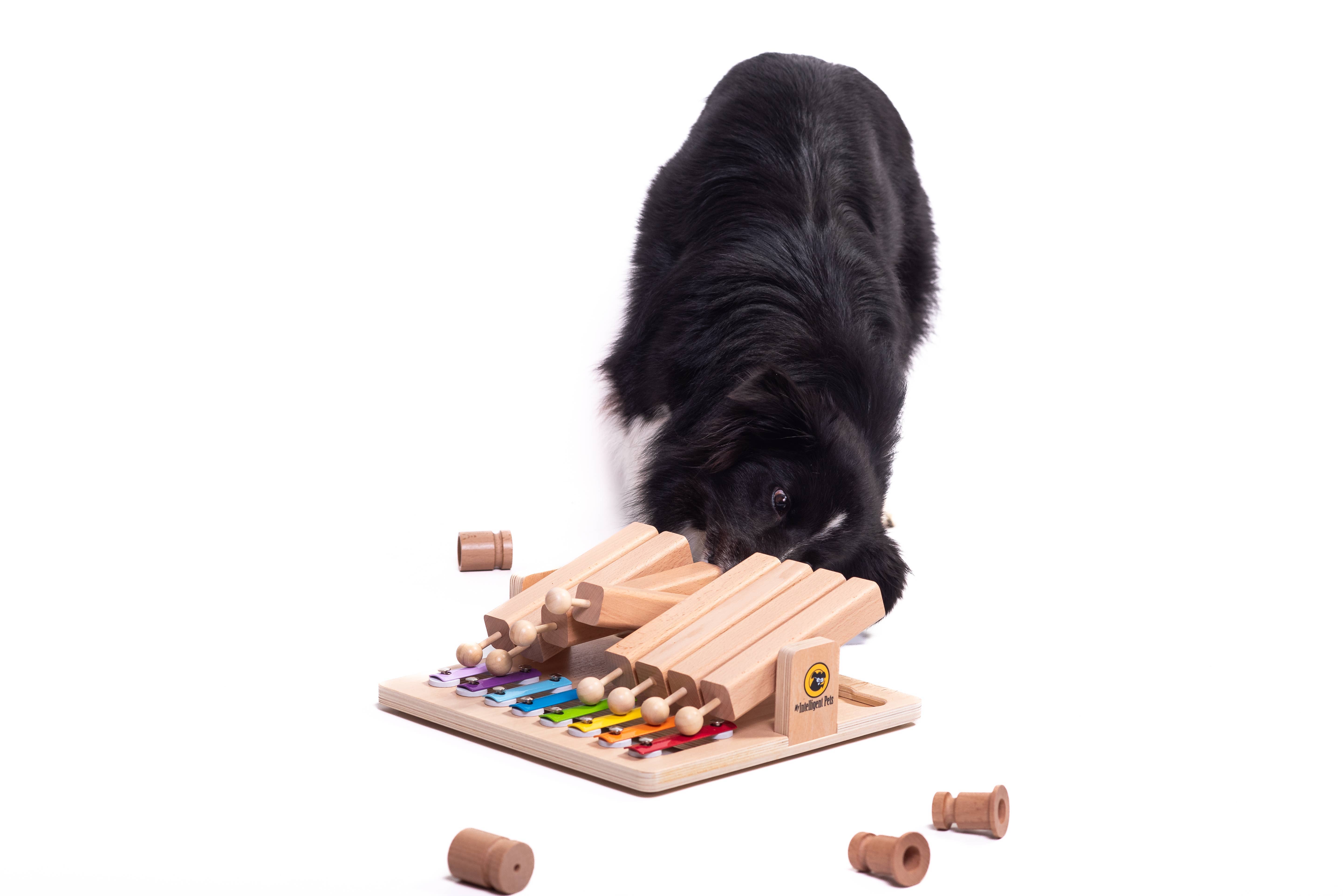 My Intelligent Dogs - Wholesale Pet Toy - Cat/Dog - Piano - Interactive Toy Product of the Year - enrichment toy