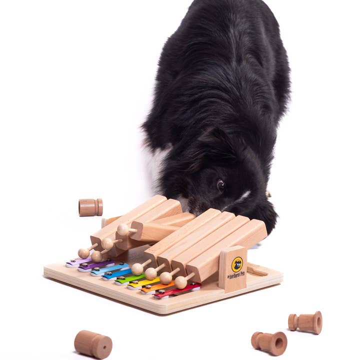 Piano - Interactive Toy Product of the Year - enrichment toy for wholesale by My Intelligent Dogs