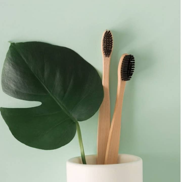 Bijin - Wholesale Toothbrush - Bamboo toothbrush infused with bamboo charcoal