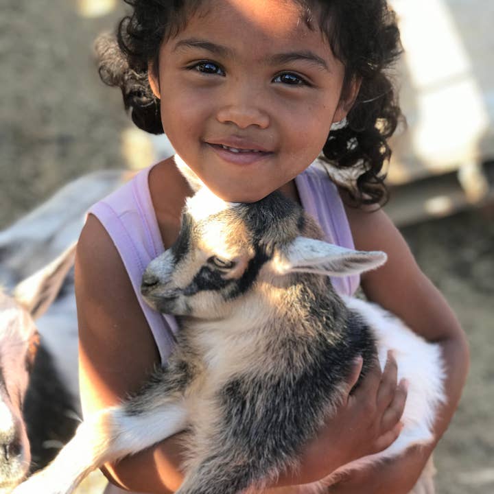 Eden Body Care – wholesale Bar Soap – Oatmeal and Honey Goat Milk Soap5