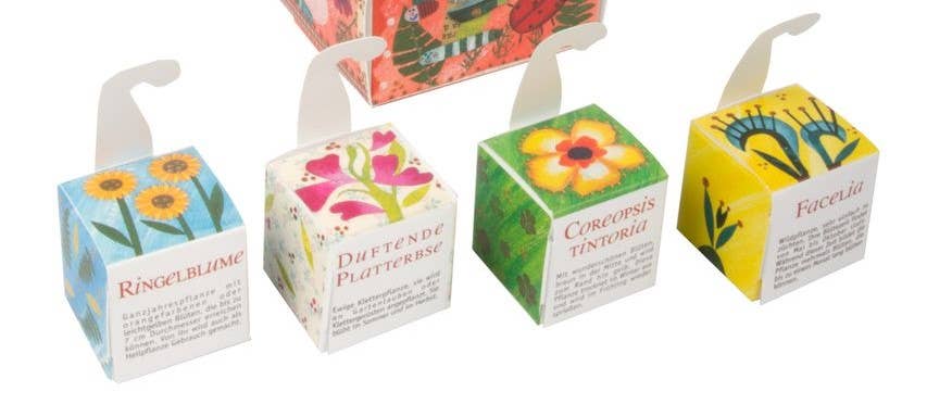 EUGEA - Vente Graines de plantes - Petits cubes de jardinage pour insectes bénéfiques et potager6