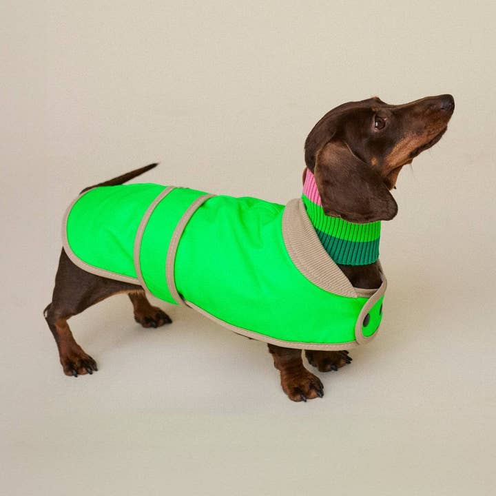 THE GLOW RAINCOAT mini-fit – Dog coat for small dog breeds and dachshunds in neon green for wholesale by lumiies - high visibility