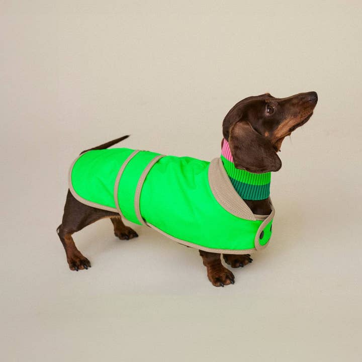 THE GLOW RAINCOAT mini-fit – Hundemantel für kleine Hunderassen und Dackel in Neongrün für den Großhandel von lumiies - high visibility
