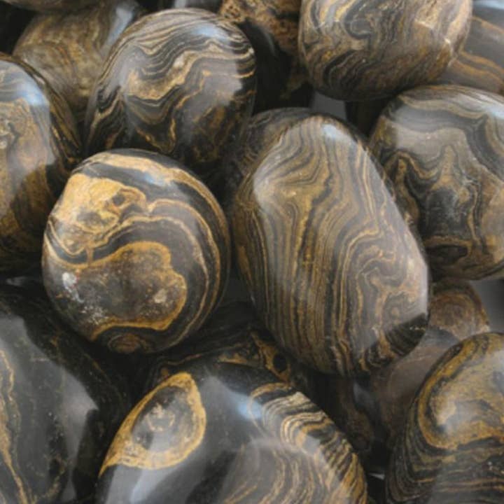 La Boîte à Cailloux - Wholesale Spiritual Stone/Crystal - Stromatolite Bolivia A (tumbled stone)