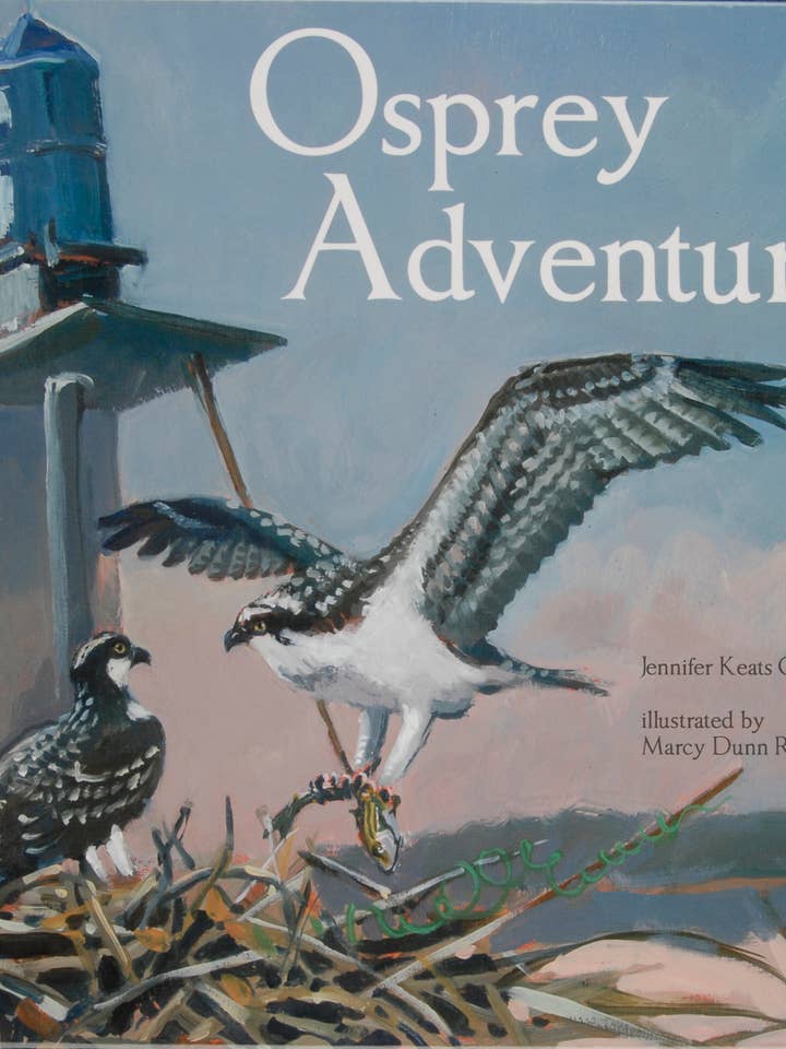 Fischadler Adventure für den Großhandel von Schiffer Kids