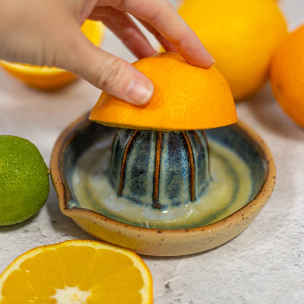 Danutė Murauskienė - Wholesale Juicer - Blue orange juicer2