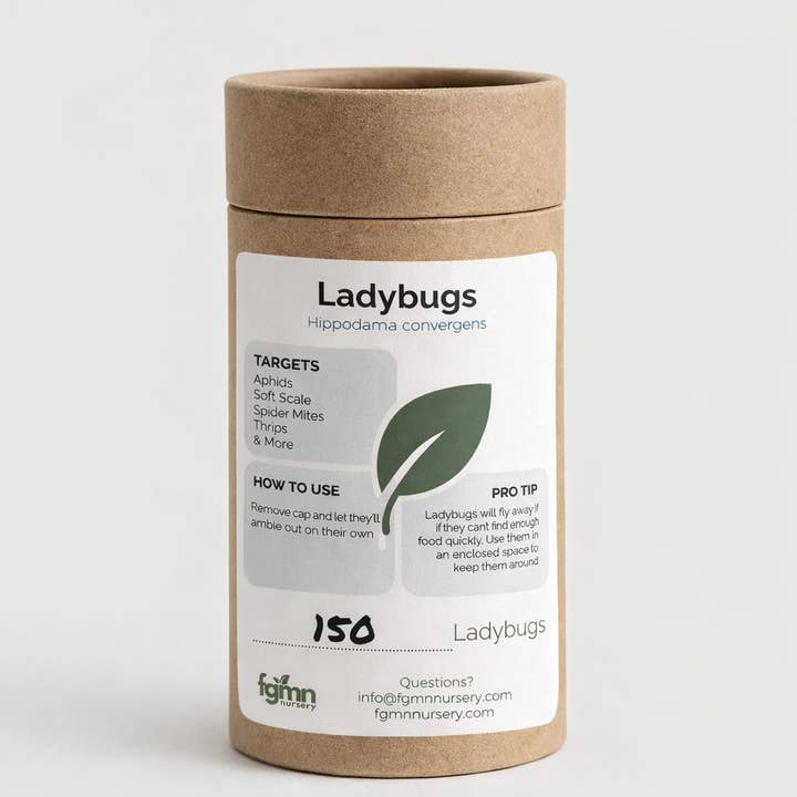 Ladybugs for wholesale by FGMN Nursery