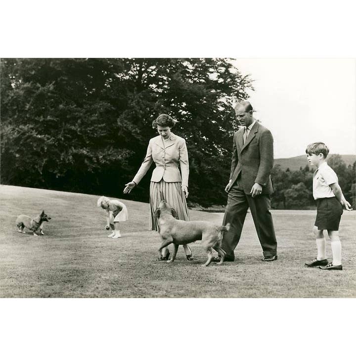 Hilsen Kort EN-258 Dronning Elizabeth og Familie på Græsplænen for engroshandel hos Found Image Press