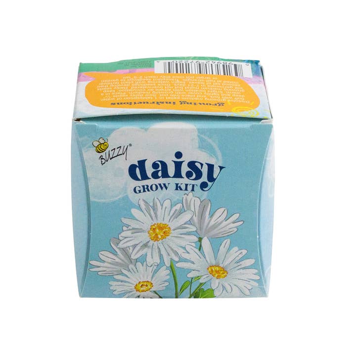 Buzzy, Inc. - Wholesale Plant Seeds - Buzzy Seeds Mini Terracotta Pots - Daisy Grow Kit
