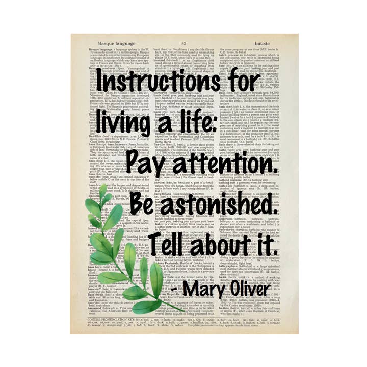Instructions for Living| Dictionary Print | Vintage Book Art for wholesale by Bookish Birds
