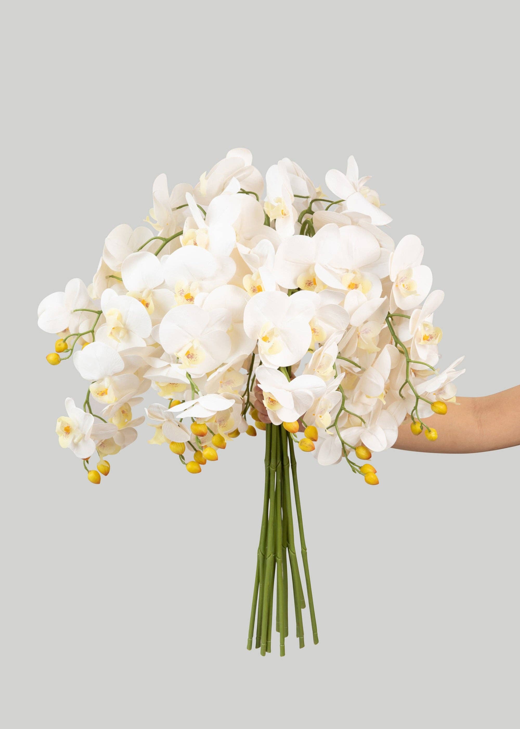 Afloral - Wholesale Artificial Flowers - Case of 48 Stems - Faux Real Touch Orchids in White - 36"2