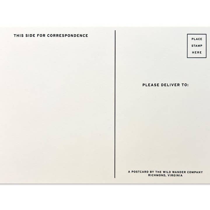 The Wild Wander - Wholesale Postcard - Seashells of North America Postcard1