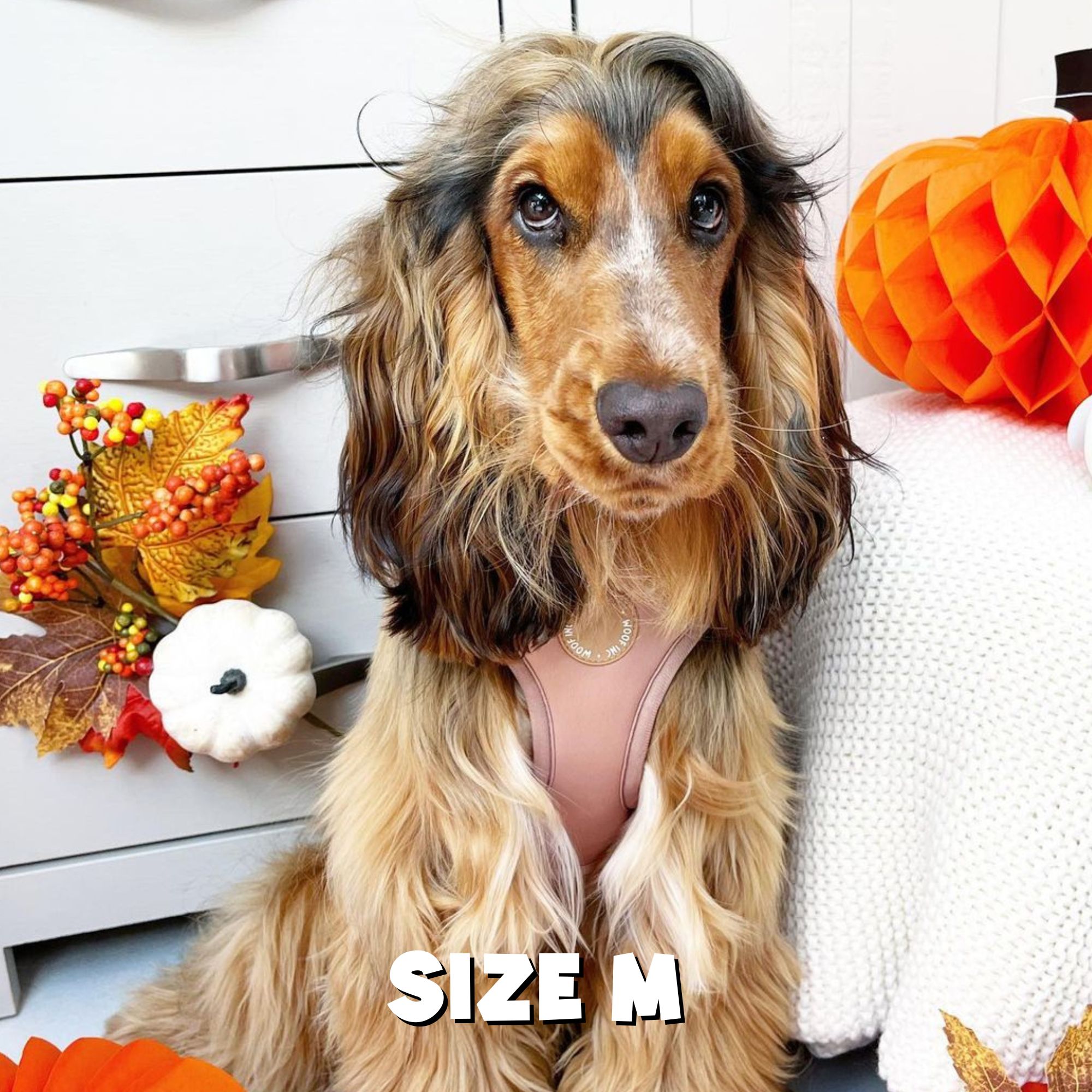 WOOF INC - Wholesale Pet Harness - Dog - Caramel Adjustable Dog Harness8