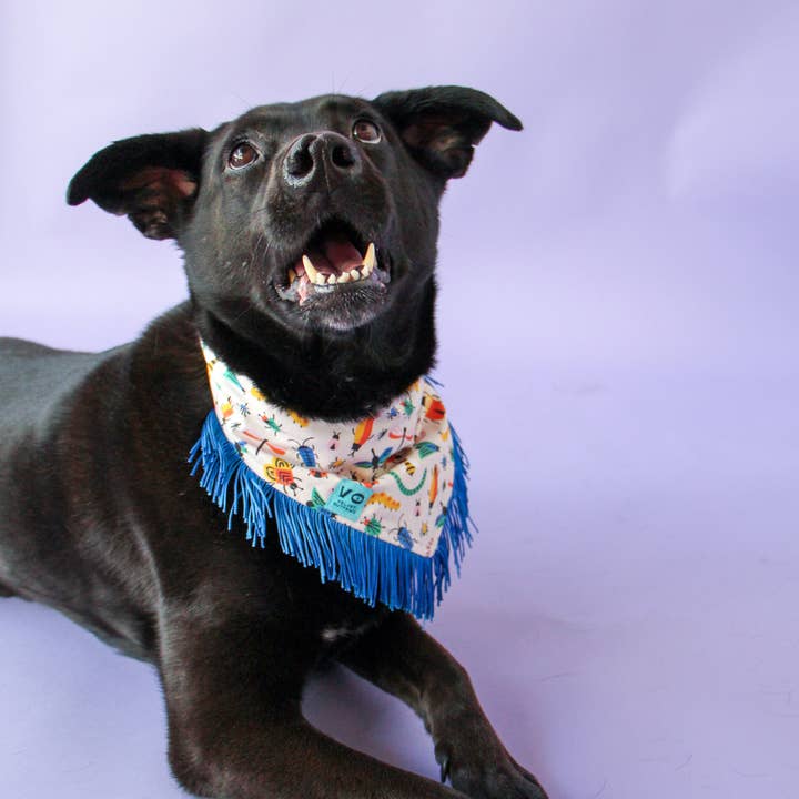 Velvet Outlaw - Wholesale Pet Bandana - Dog - Bugs with Blue Fringe Dog Bandana