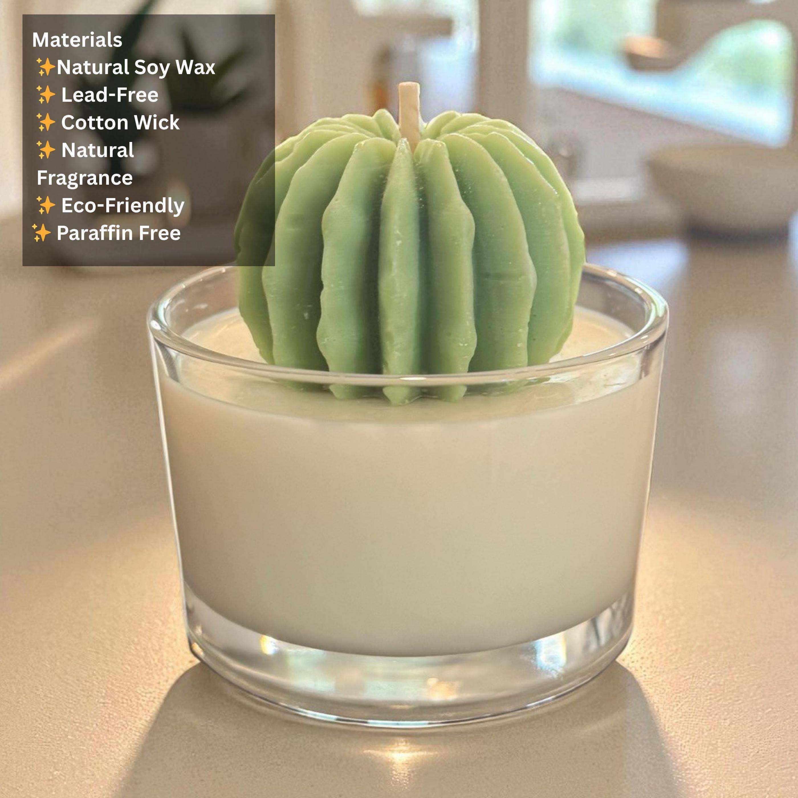 Karly’s Candles - Wholesale Novelty Candle - Handmade Soy Cactus & Succulent Candle Set1