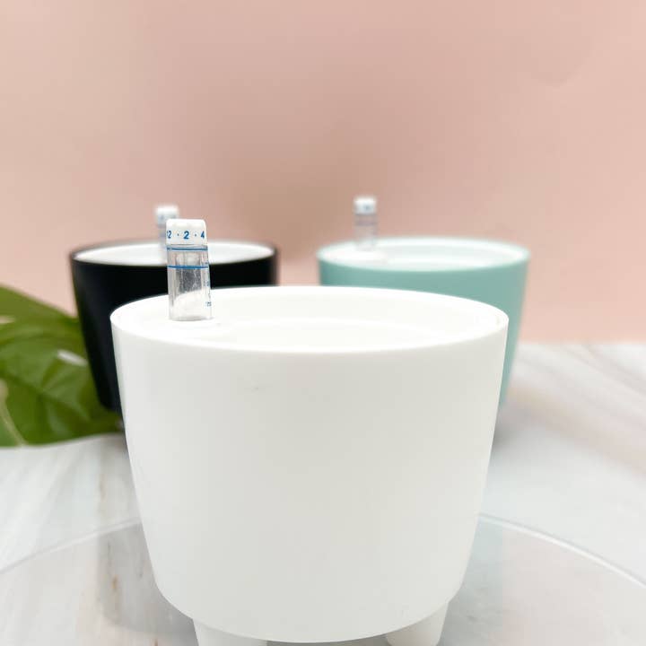 Propagation Diaries - Wholesale Plant Pot - 3” Self Watering Moo Pot