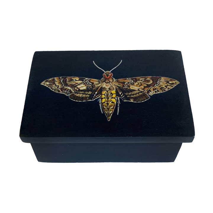Hawk Moth Black Soap Stone Trinket-Jewelry Box, 3" for wholesale by Madison Bay Co. - Historical Home Decor Reproductions