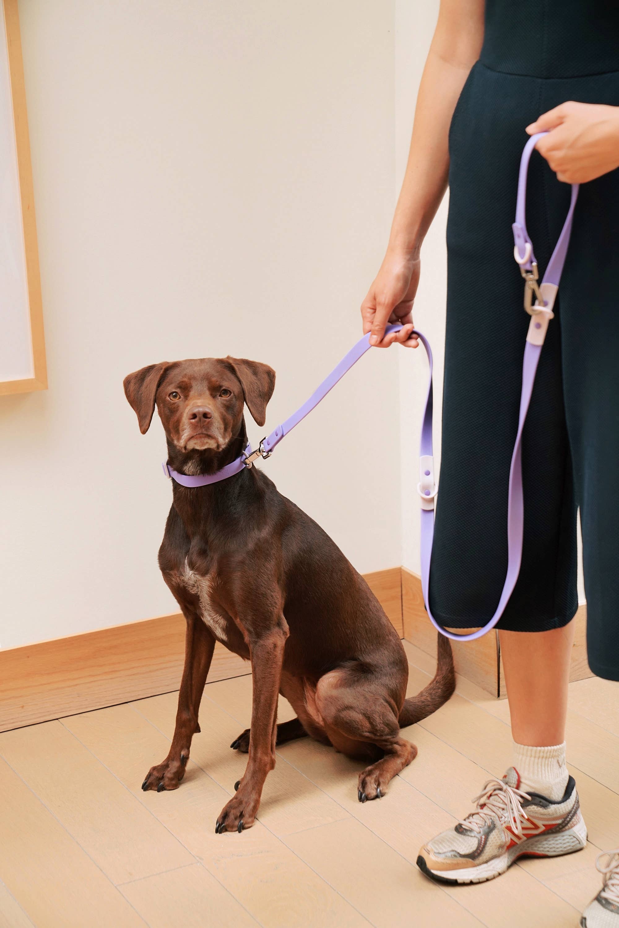 Approved by Fritz - EUROPE – Großhandel Leine – Hund – The Fritz wasserdichte Hundeleine, leicht zu reinigen, verstellbar15