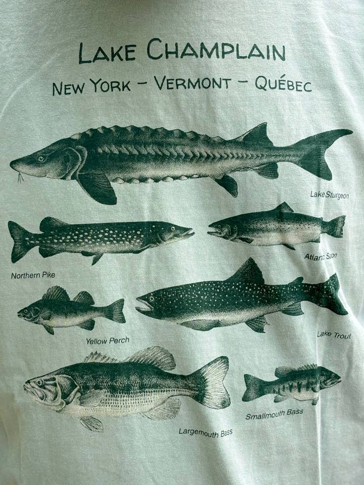 Lake Champlain Fish T-Shirt – Freshwater Fishing Tee for wholesale by Just Wandering Co.