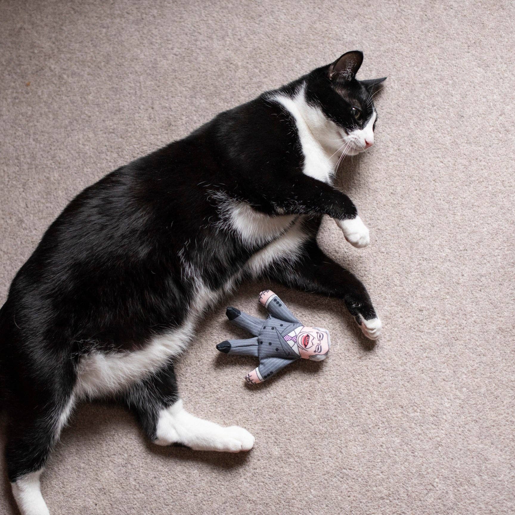 Pet Hates Toys - Wholesale Pet Toy - Cat - Nigel Farage cat toy3