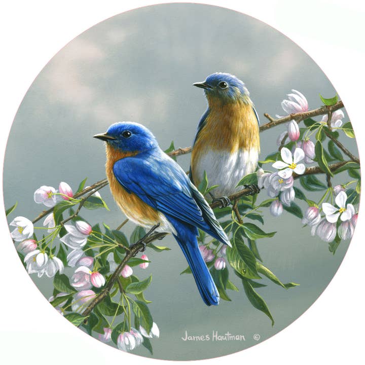 HB Spring Blossom Bluebirds for wholesale by Andreas