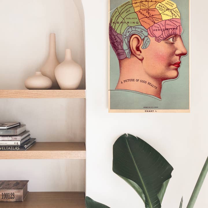 Barbara Decor – wholesale Poster – 16x24" Poster, Vintage Phrenology Poster Print, Brain Art2