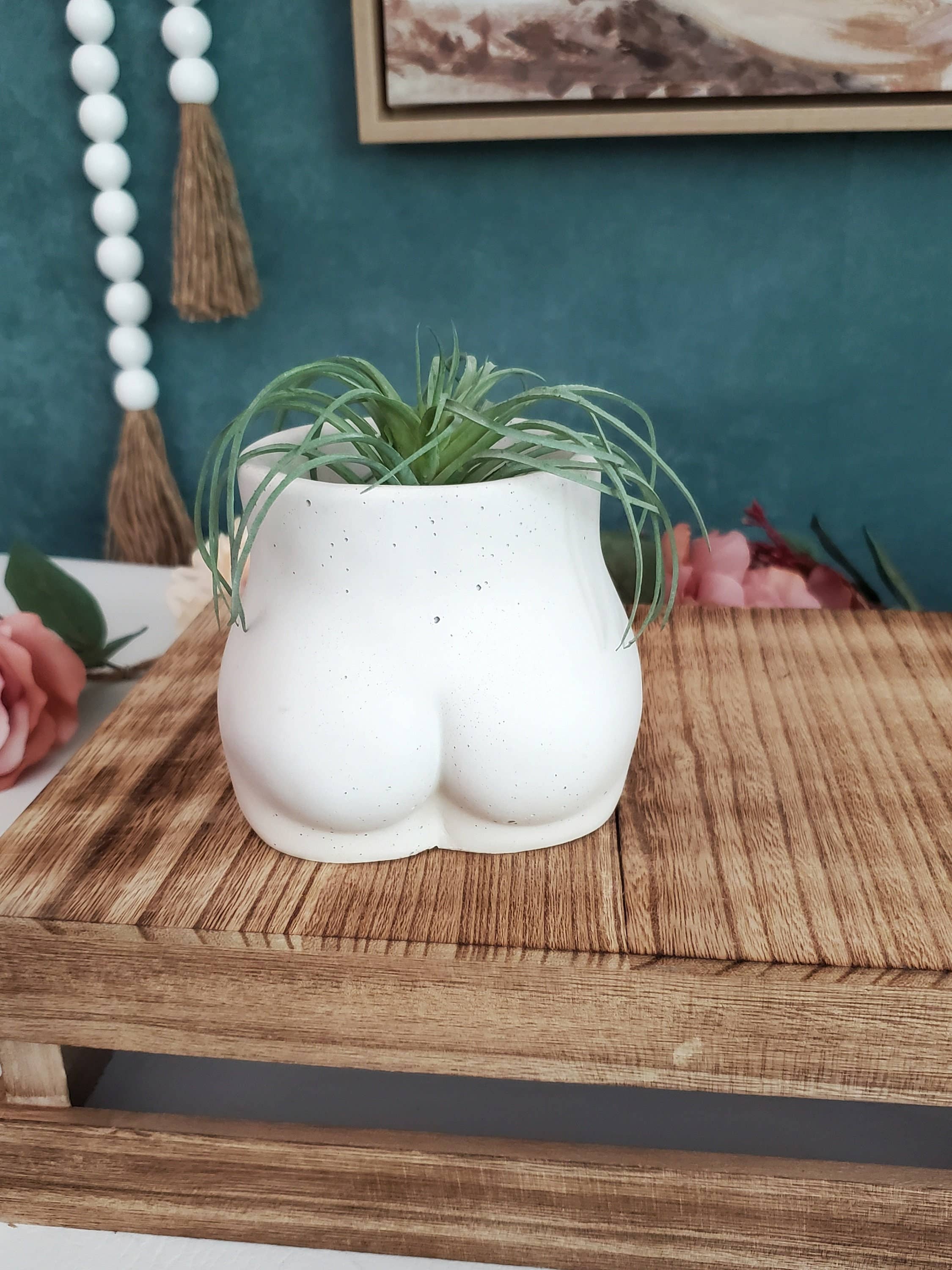 House Americana - Wholesale Plant Pot - Butt Booty Concrete Planter Pot With Drainage2