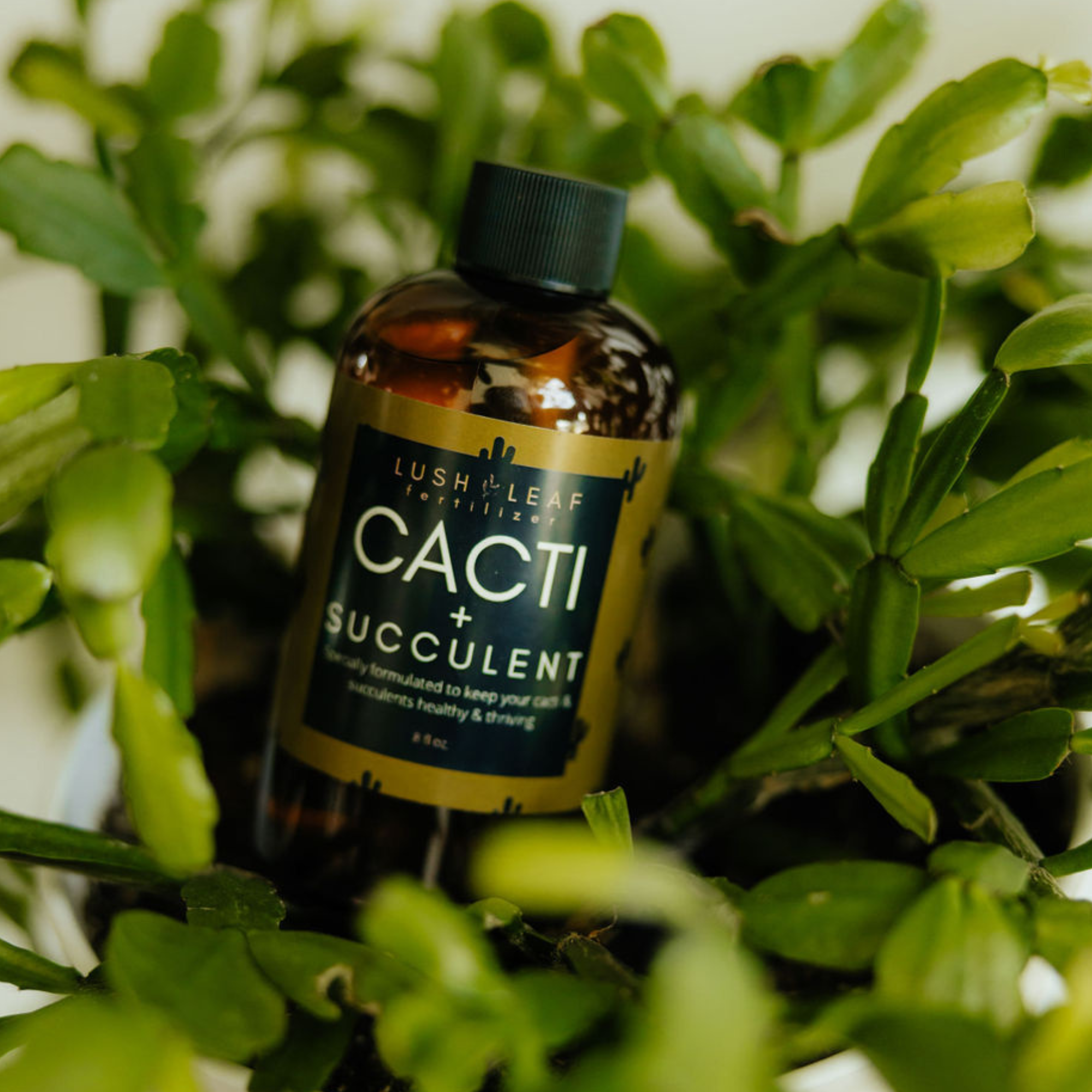 Lush Leaf - Wholesale Fertilizer - Cacti & Succulent Plant Food9