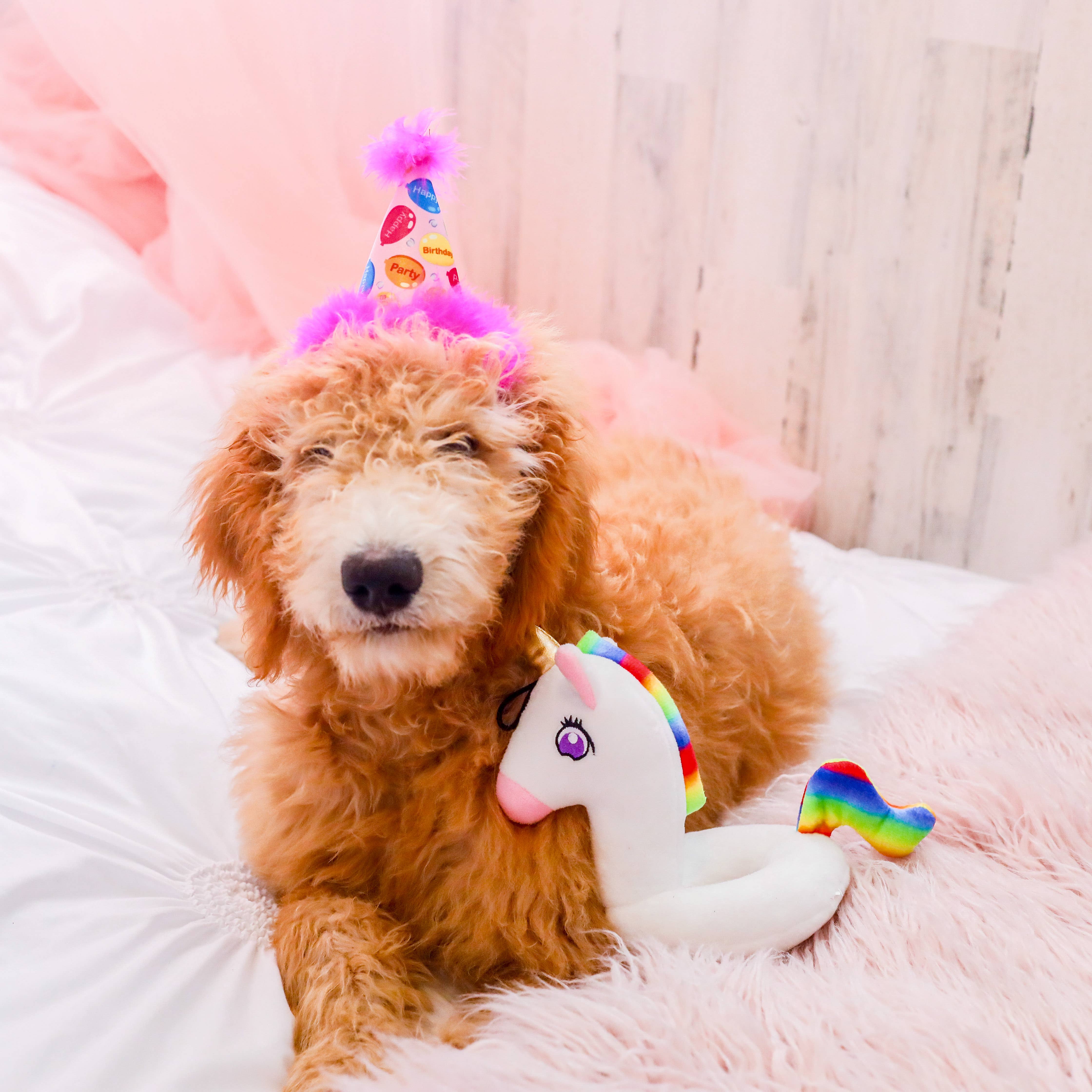 Huxley & Kent - Vente Chapeau – chien - Chapeau de fête rose Party Time avec SnugFit®5