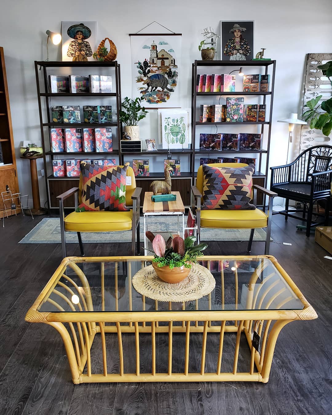 Dolan Geiman - Wholesale Art Print - Art Print | Woman & Binoculars Wall Art | THE NATURALIST6