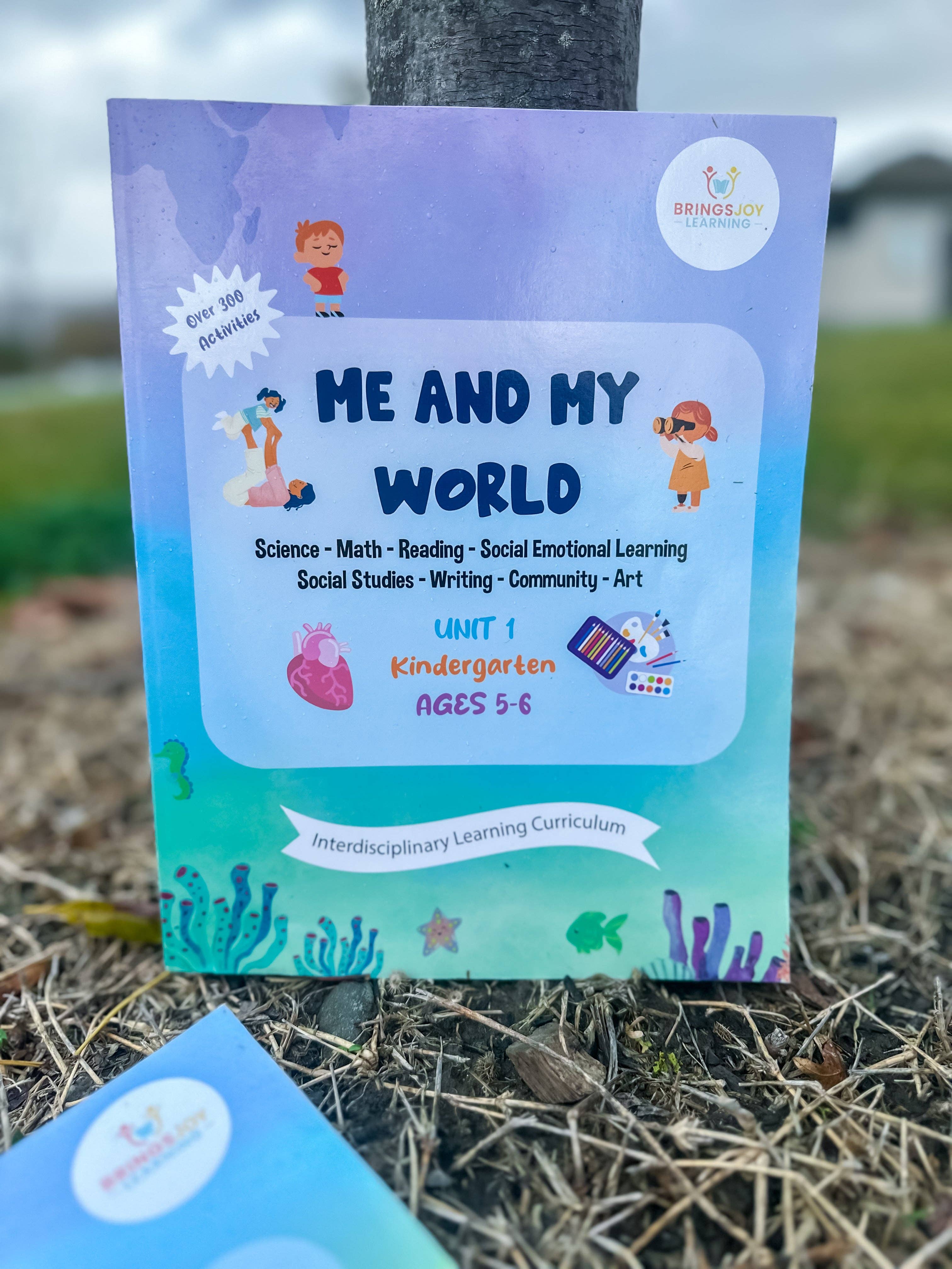 Brings Joy Learning - Wholesale Education Book - Kindergarten Unit 1: Me and My World6